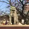 難波大社 生國魂神社の狛犬