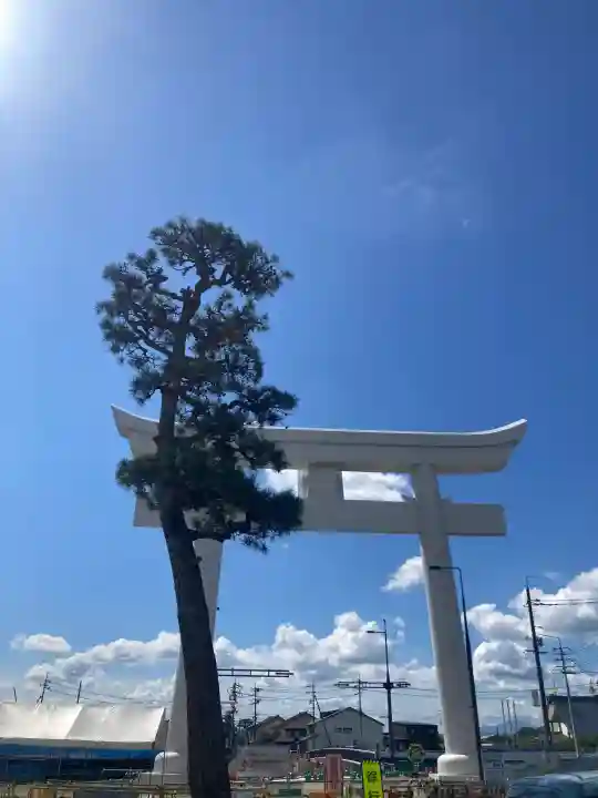 出雲大社(島根県)