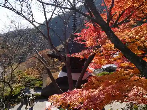 善峯寺の景色