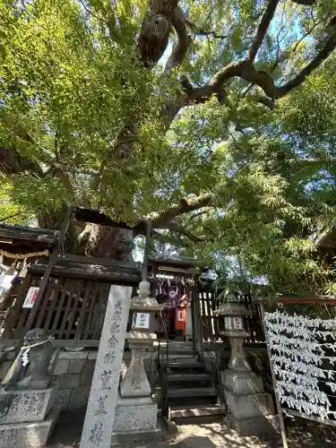 三島神社の{uncategorized: "未分類", other: "その他", undefined: "問題あり", building: "その他建物", grave: "お墓", sacred_gate: "鳥居", guardian: "狛犬", statue: "像", buddha: "仏像", history: "歴史", nature: "自然", garden: "庭園", animal: "動物", pagoda: "塔", temizu: "手水舎", mountain_gate: "山門・神門", sanctuary: "本殿・本堂", subordinate: "末社・摂社", art: "芸術", scenery: "景色", jizo: "地蔵", ema: "絵馬", goshuin: "御朱印", omikuji: "おみくじ", items: "授与品その他", amulet: "お守り", goshuincho: "御朱印帳", eats: "食事", festival: "お祭り", votive_dance: "神楽", shichigosan: "七五三参", wedding: "結婚式", experience: "体験その他", initially: "初詣", around: "周辺", anti_infection: "感染症対策"}