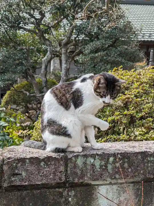 正法寺(埼玉県)