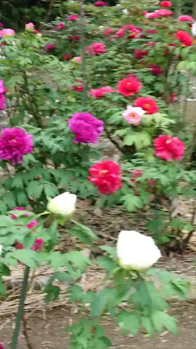 総持寺(滋賀県)