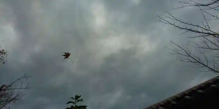 賀茂波爾神社(賀茂御祖神社境外摂社)(京都府)