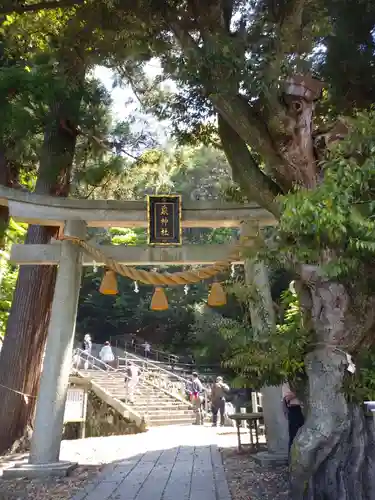 泉神社の鳥居