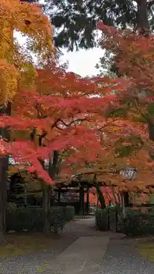 真正極楽寺(真如堂)(京都府)