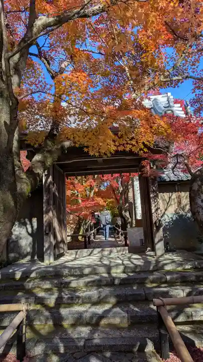 光悦寺(京都府)