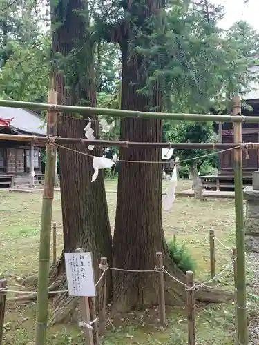 長沼八幡宮の自然
