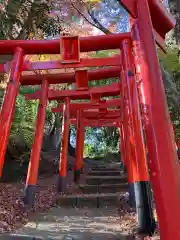 目の霊山　油山寺(静岡県)