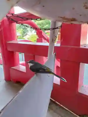 白狐山光星寺(山形県)