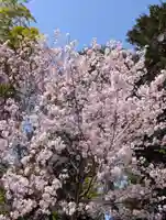 寳幢院(東京都)