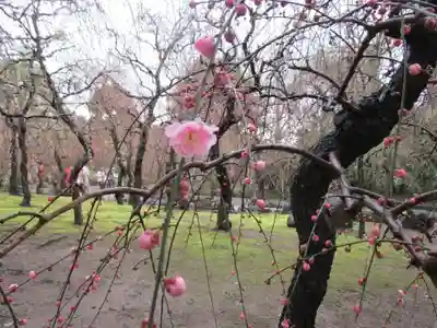 城南宮(京都府)