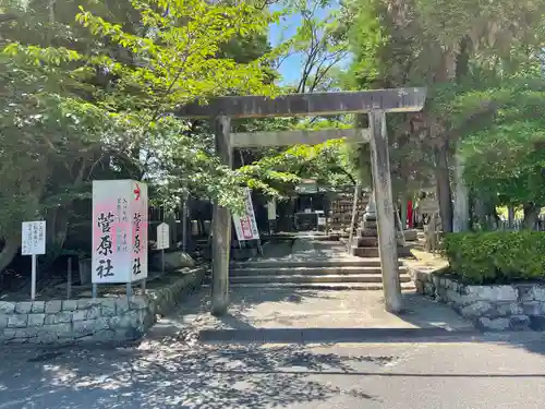 津島神社の鳥居