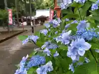 賀茂神社(福井県)