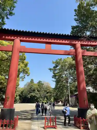 武蔵一宮氷川神社の鳥居