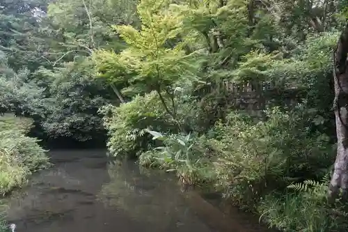 深大寺の庭園