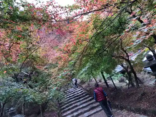 垂裕神社の自然