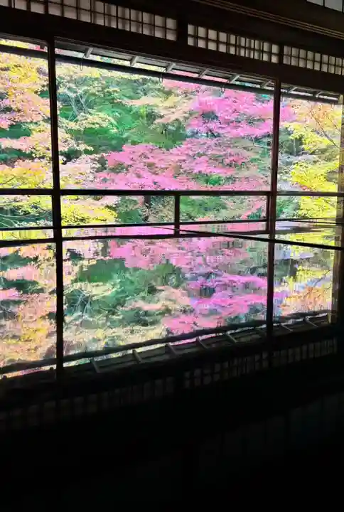 光明寺瑠璃光院(京都府)