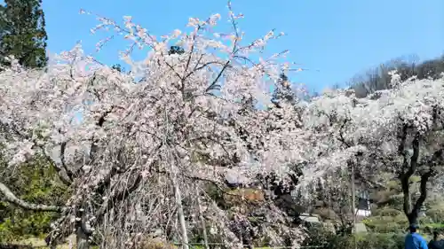 法善寺(埼玉県)