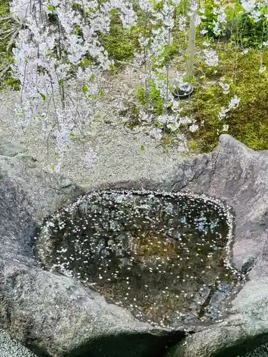 西住院(京都府)