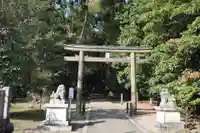 若狭彦神社(上社)の鳥居