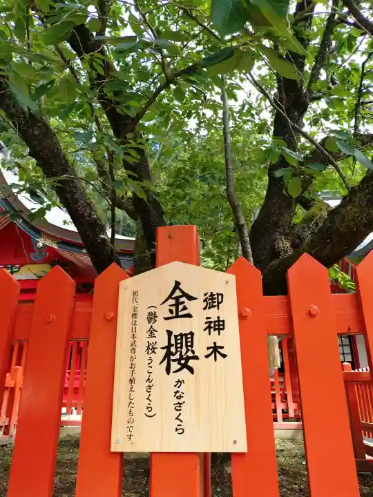 金櫻神社(山梨県)