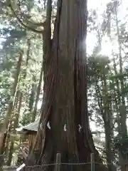 鷲子山上神社の自然