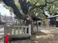 素盞嗚尊神社(大阪府)