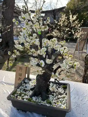 道明寺天満宮(大阪府)