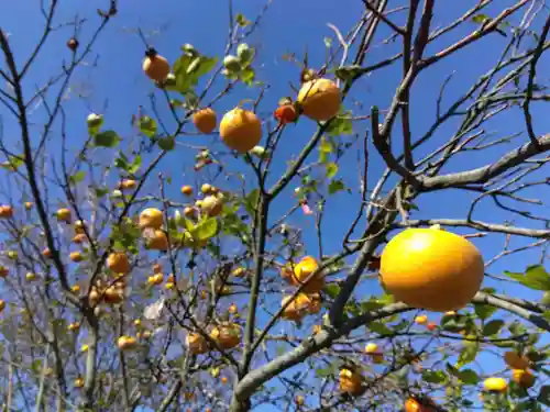 白山神社(福井県)