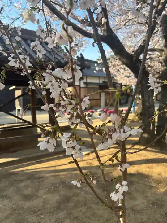 大年神社(兵庫県)