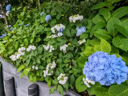 長谷寺(神奈川県)