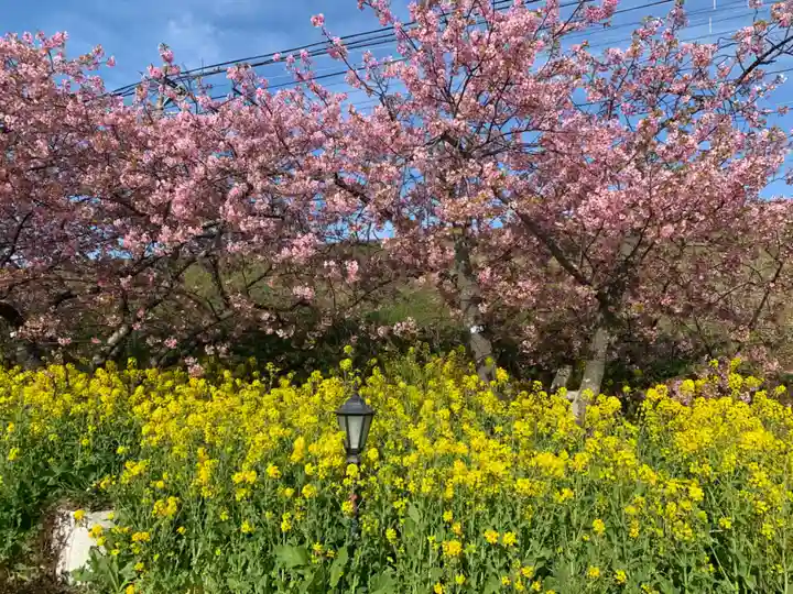 かっぱの寺 栖足寺の周辺