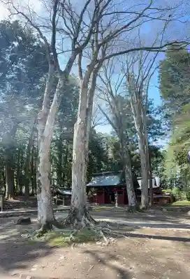 都々古別神社(八槻)の{uncategorized: "未分類", other: "その他", undefined: "問題あり", building: "その他建物", grave: "お墓", sacred_gate: "鳥居", guardian: "狛犬", statue: "像", buddha: "仏像", history: "歴史", nature: "自然", garden: "庭園", animal: "動物", pagoda: "塔", temizu: "手水舎", mountain_gate: "山門・神門", sanctuary: "本殿・本堂", subordinate: "末社・摂社", art: "芸術", scenery: "景色", jizo: "地蔵", ema: "絵馬", goshuin: "御朱印", omikuji: "おみくじ", items: "授与品その他", amulet: "お守り", goshuincho: "御朱印帳", eats: "食事", festival: "お祭り", votive_dance: "神楽", shichigosan: "七五三参", wedding: "結婚式", experience: "体験その他", initially: "初詣", around: "周辺", anti_infection: "感染症対策"}
