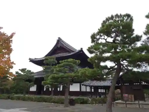 建仁寺（建仁禅寺）の本殿・本堂