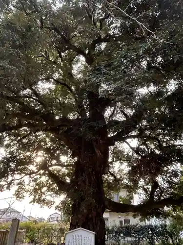 一之宮貫前神社(群馬県)