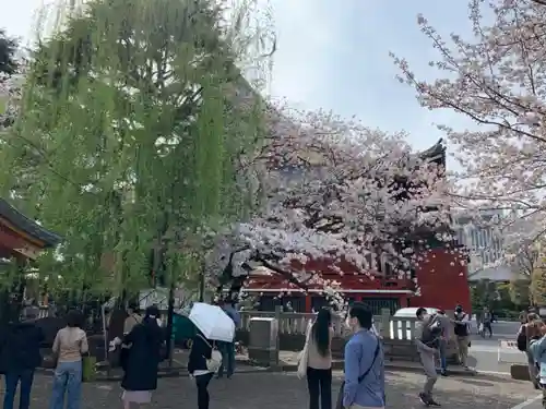 浅草神社の自然