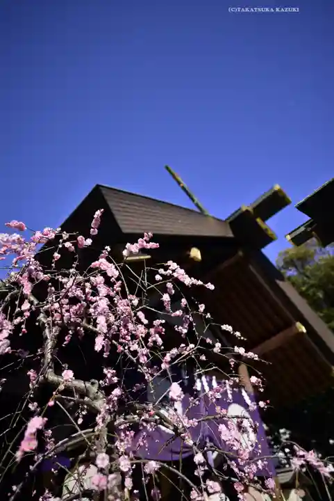 東京大神宮(東京都)