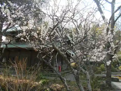 英勝寺の庭園