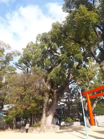 長田神社(兵庫県)