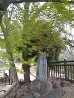 千光寺奥之院のその他建物