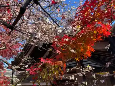 稱名院(東京都)