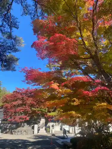 高野山霊寳館の自然