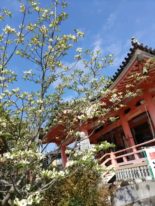 美江寺(岐阜県)