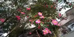 平野神社の自然