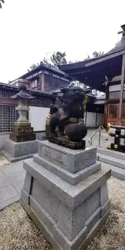 坂井神社の狛犬