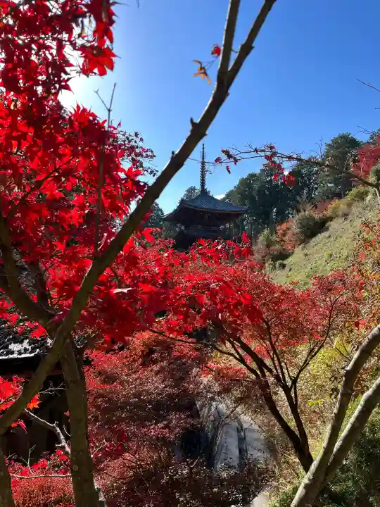 常樂寺(滋賀県)