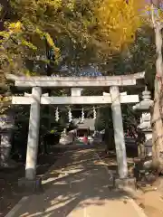 日枝神社水天宮の鳥居