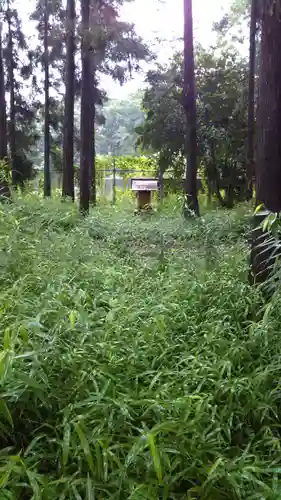 神社(名称不明)の自然