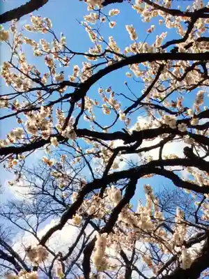 福蔵院(東京都)