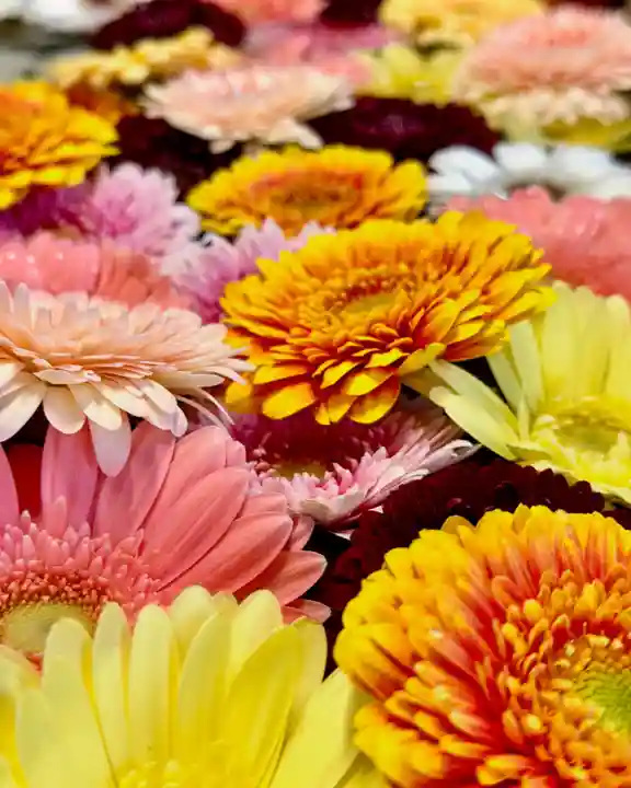 札幌諏訪神社の手水舎